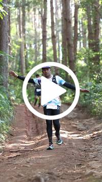 BIB:  <button type="button" onclick="openModal(26569717)" class="btn btn-primary btn-sm float-right" data-toggle="modal" data-target=".modal-high-quality">
                <i class="fa fa-download"></i> Download
                </button>